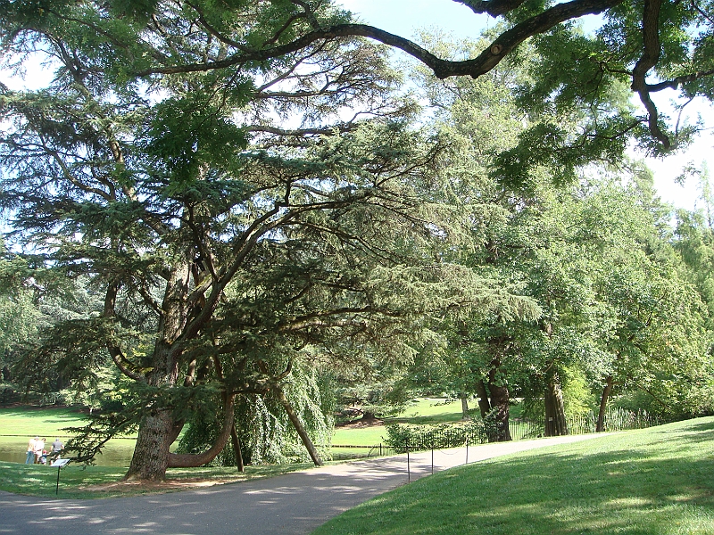 016 Longwood Gardens [2008 August 23].JPG - Longwood Gardens in Pennsylvania